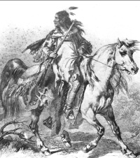 Blackfoot Krieger